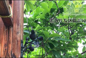 天津景观设计